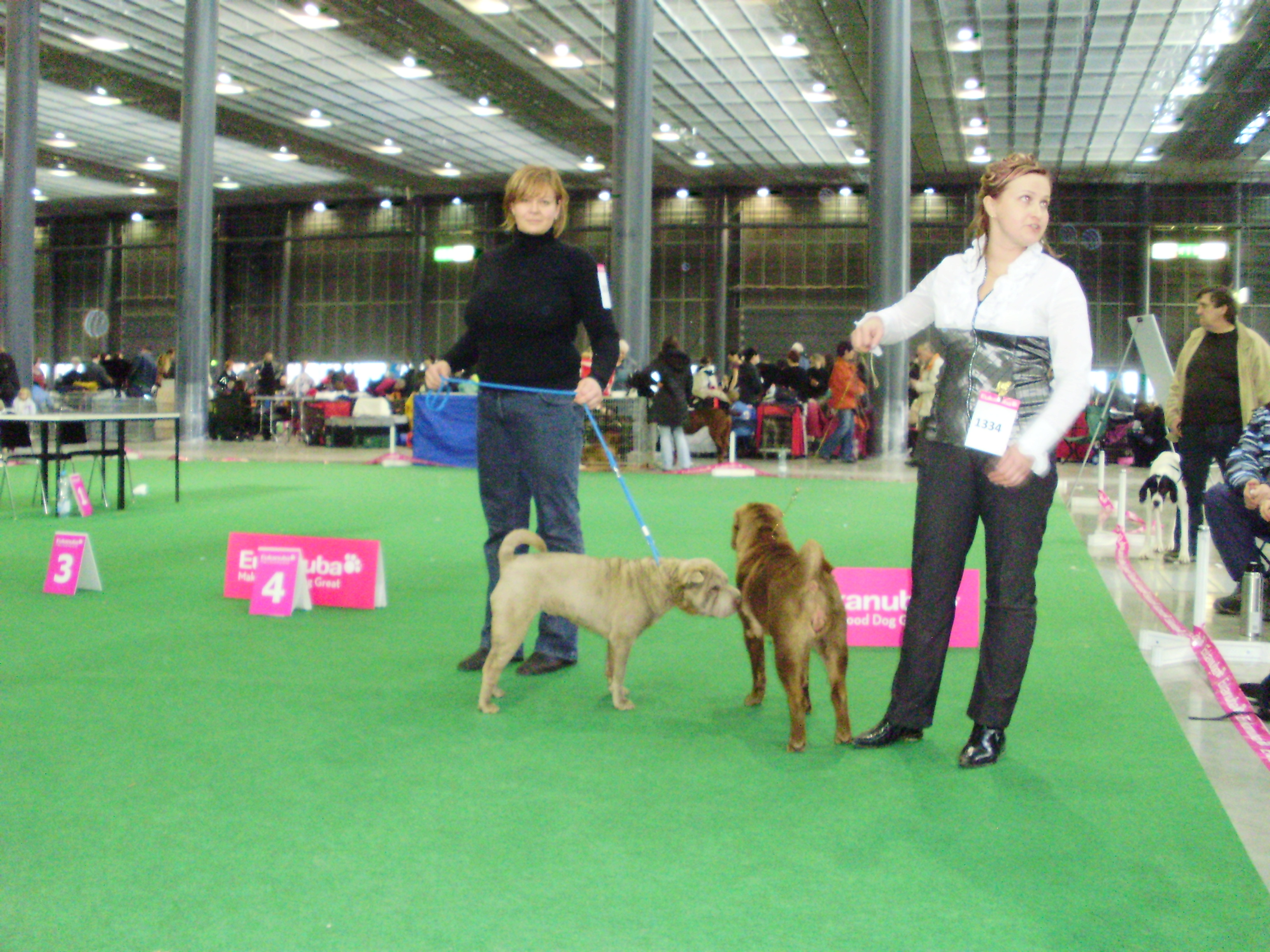 Výstava 2011