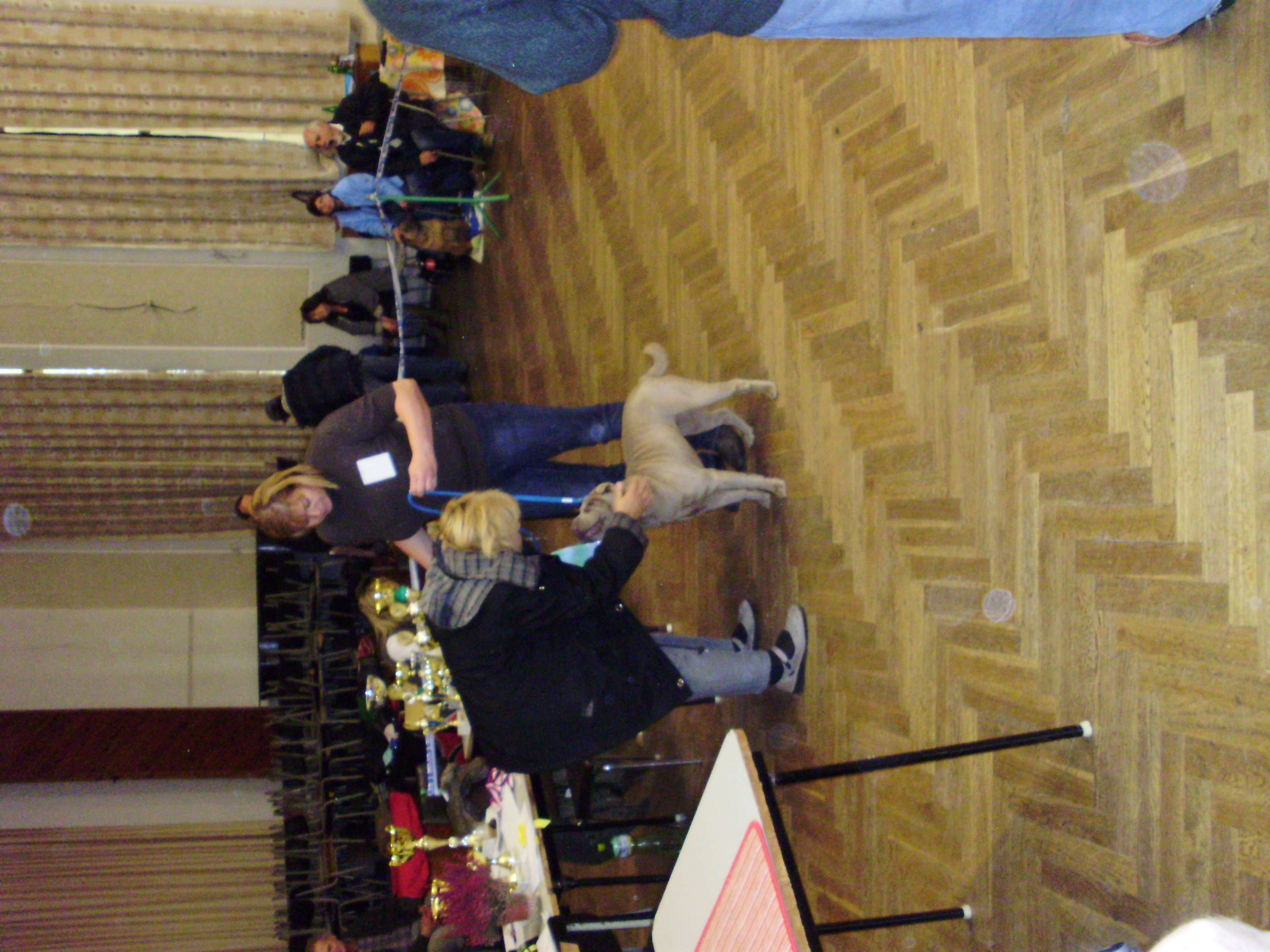 Klubová výstava 2011 