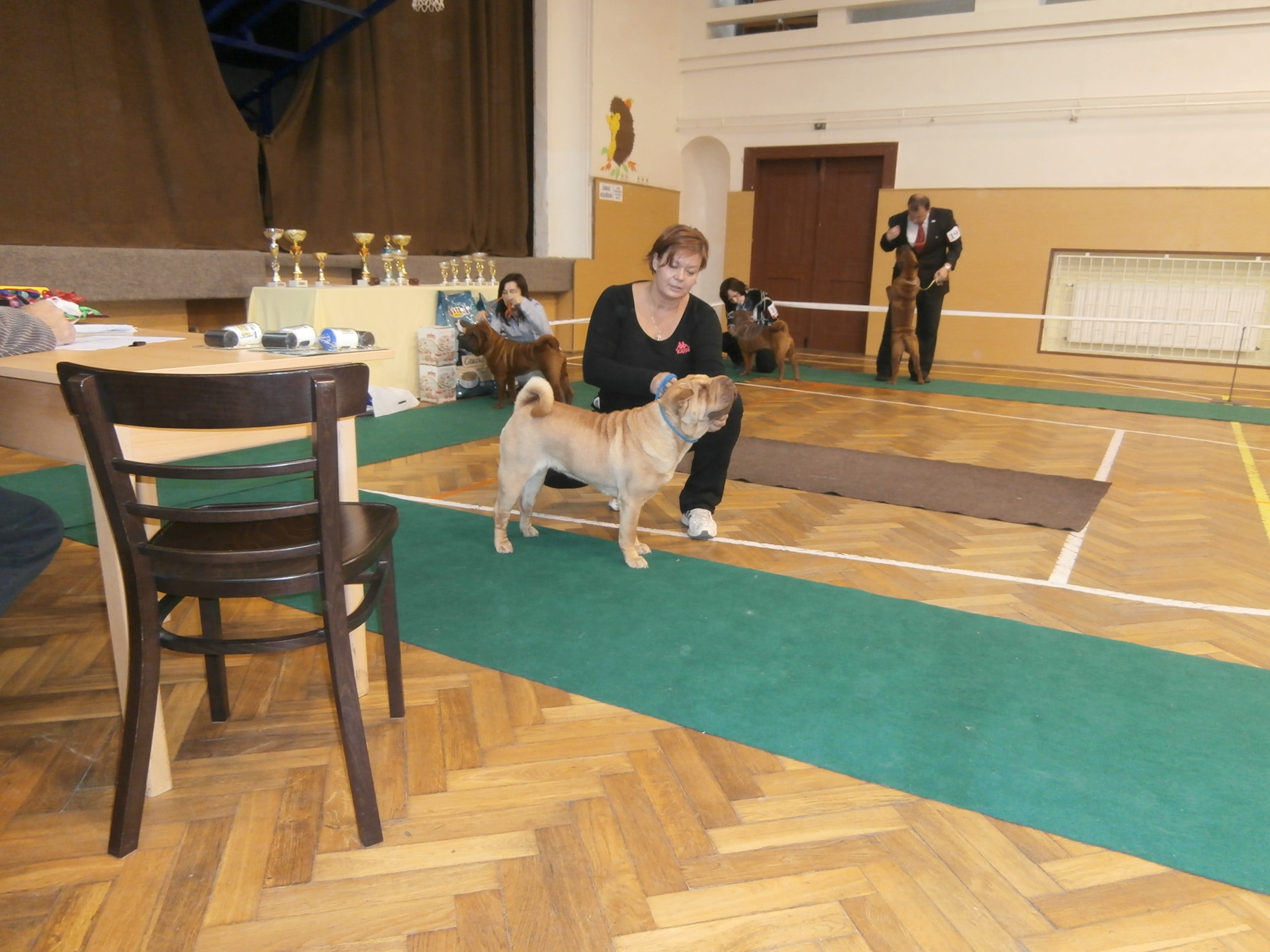 Výstava Brno-klubovka 2012
