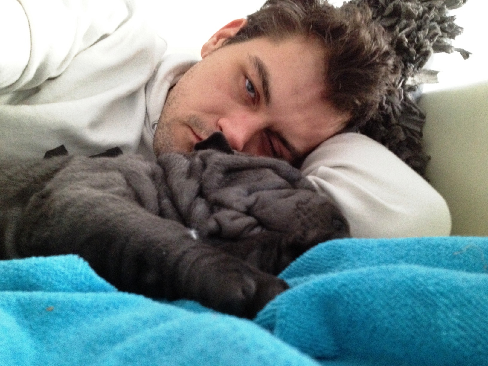 Faun a FILIP